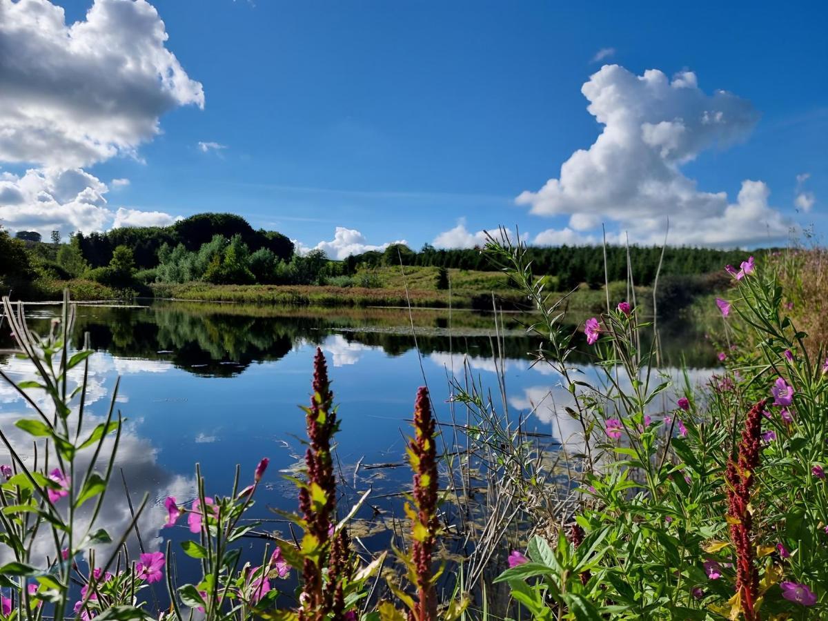 Nibe Calm And Idyllic Surroundings In Northen Jutland 아파트 외부 사진